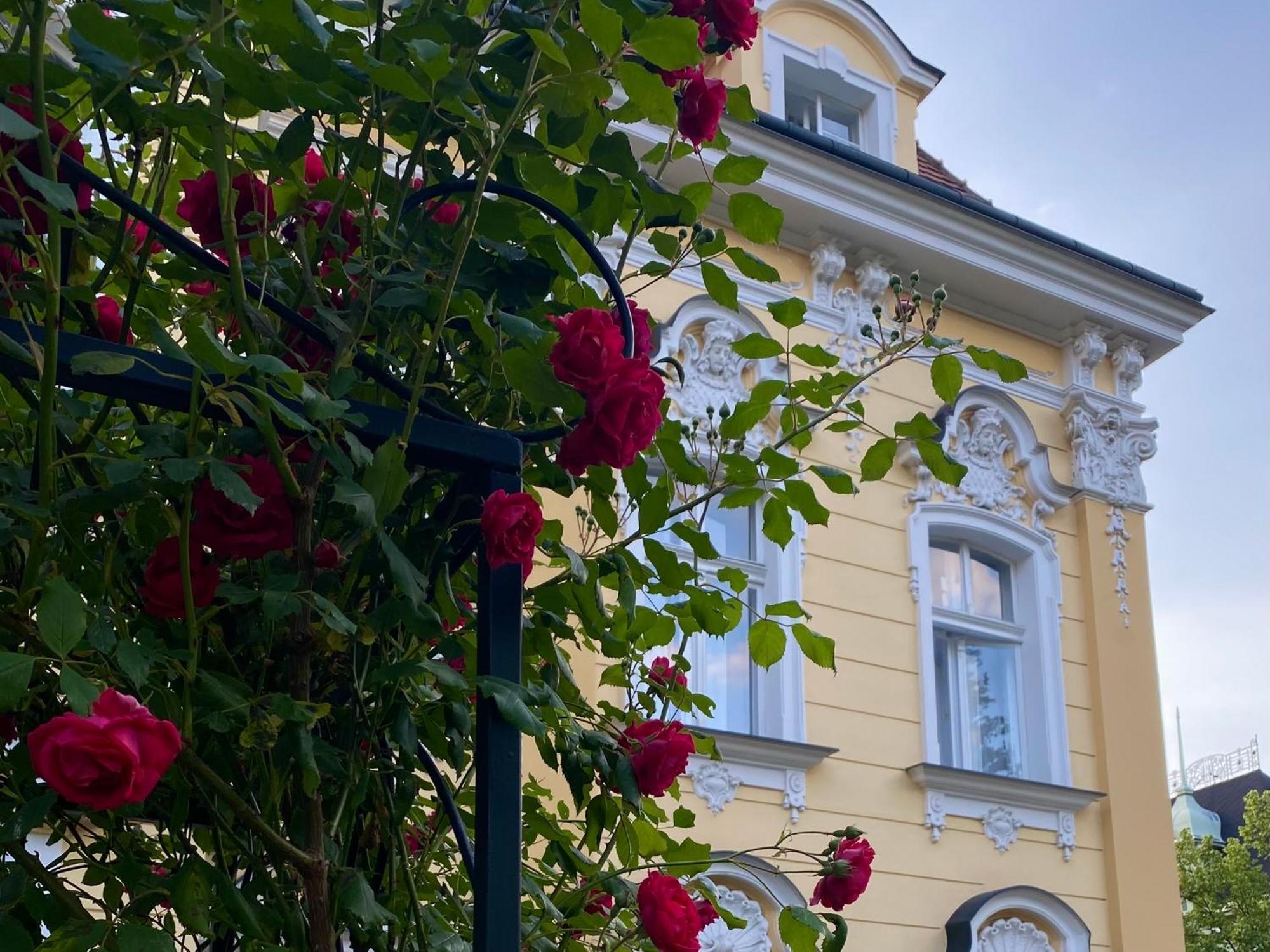 Salve Teplice 아파트 외부 사진